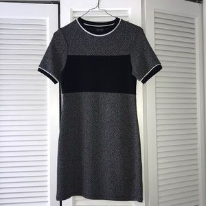 Black And Grey Topshop Dress